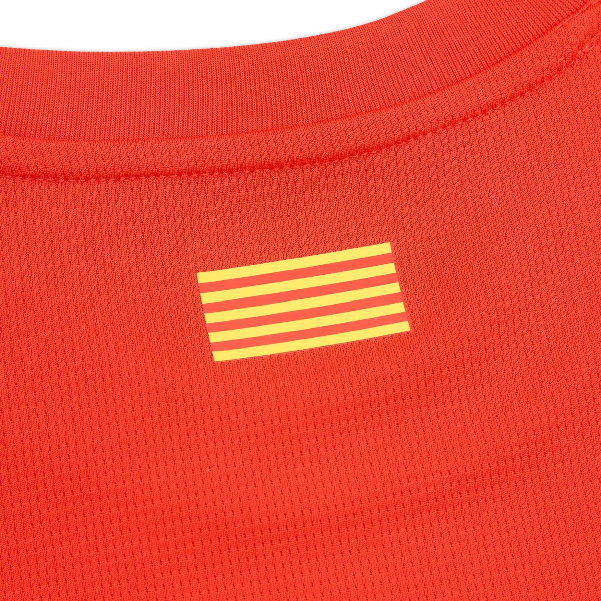 Maillot Girona Domicile 2024/25