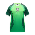 Maillot Nigeria Coupe du Monde 2026 Domicile