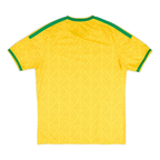 Maillot Afrique du Sud Coupe du Monde 2026 Domicile