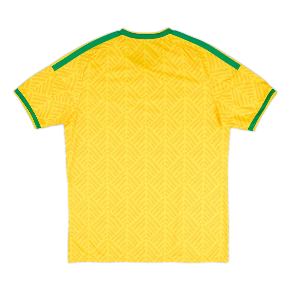 Maillot Afrique du Sud Coupe du Monde 2026 Domicile
