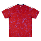 Maillot Costa Rica Coupe du Monde 2026 Domicile
