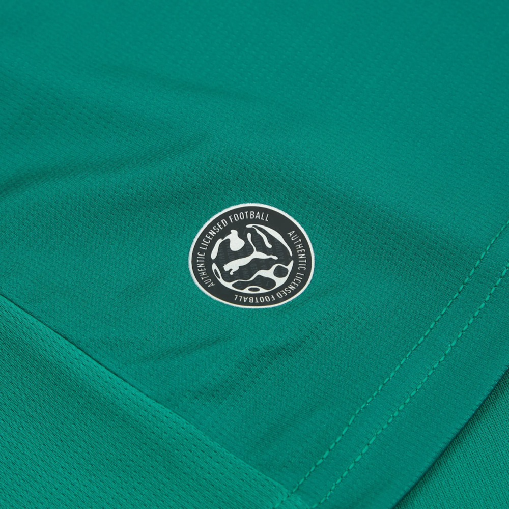 Maillot Sénégal Coupe du Monde 2026 Extérieur