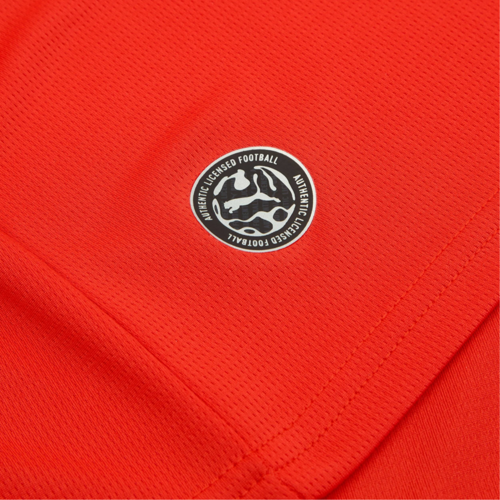 Maillot Autriche Coupe du Monde 2026 Domicile