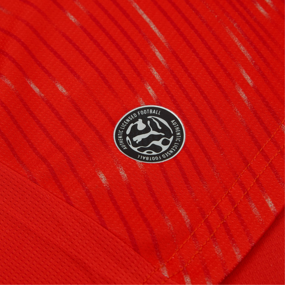 Maillot Suisse Coupe du Monde 2026 Domicile