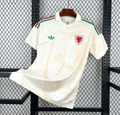 Maillot Pays de Galle Coupe du Monde 2026 Extérieur