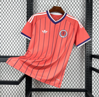Maillot Écosse Coupe du Monde 2026 Extérieur