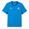 Maillot Islande Coupe du Monde 2026 Domicile