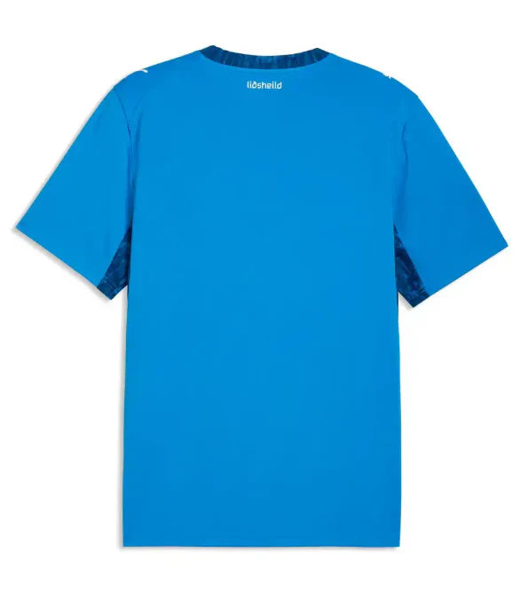 Maillot Islande Coupe du Monde 2026 Domicile